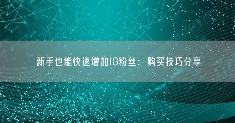 新手也能快速增加IG粉丝：购买技巧分享