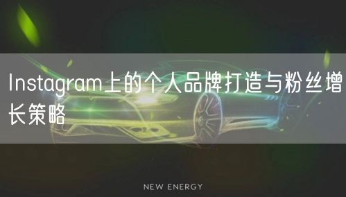 Instagram上的个人品牌打造与粉丝增长策略