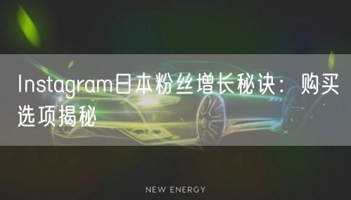 Instagram日本粉丝增长秘诀：购买选项揭秘