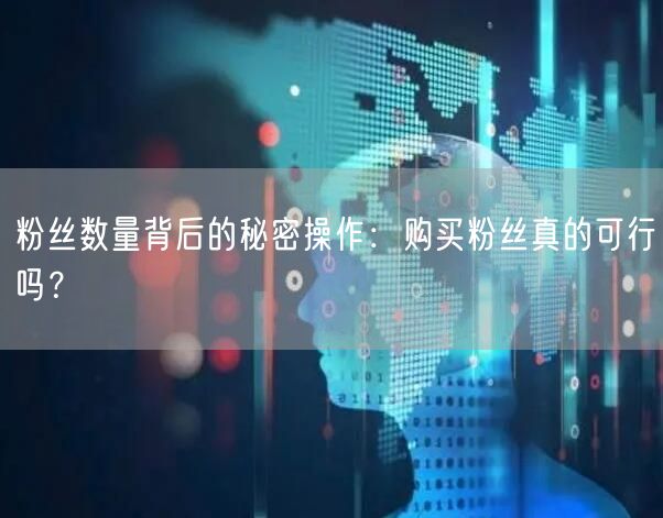 粉丝数量背后的秘密操作：购买粉丝真的可行吗？