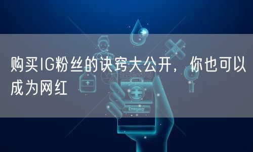 购买IG粉丝的诀窍大公开，你也可以成为网红