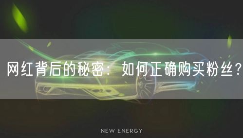 网红背后的秘密:如何正确购买粉丝?