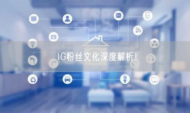 IG粉丝文化深度解析!