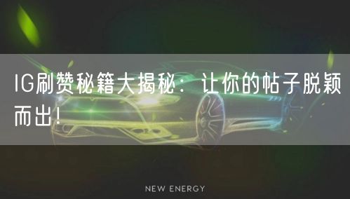 IG刷赞秘籍大揭秘：让你的帖子脱颖而出！