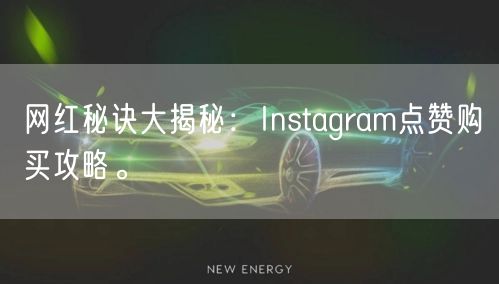 网红秘诀大揭秘：Instagram点赞购买攻略。