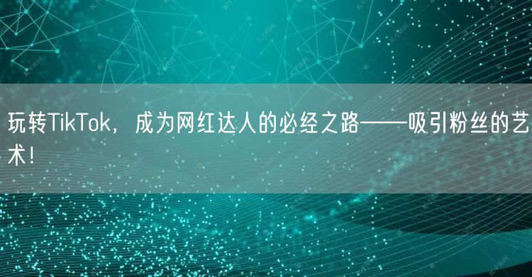 玩转TikTok，成为网红达人的必经之路——吸引粉丝的艺术！