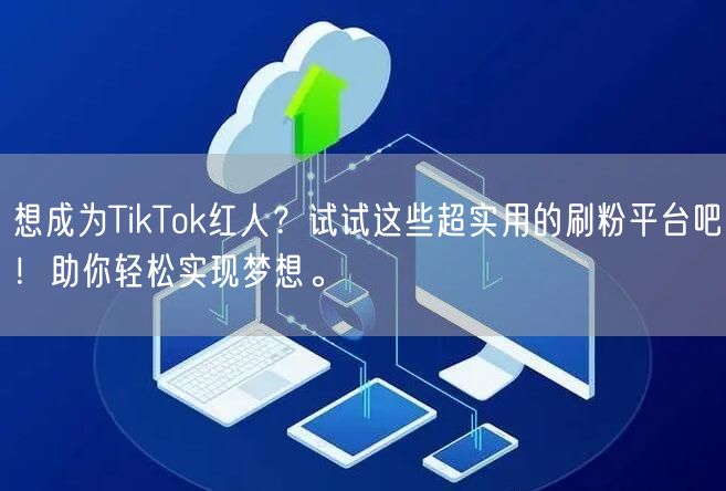 想成为TikTok红人？试试这些超实用的刷粉平台吧！助你轻松实现梦想。