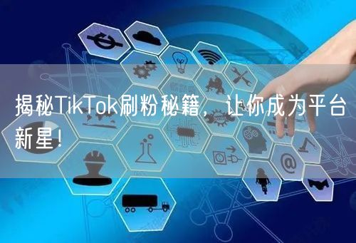 揭秘TikTok刷粉秘籍，让你成为平台新星！
