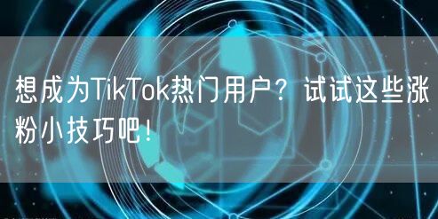 想成为TikTok热门用户？试试这些涨粉小技巧吧！