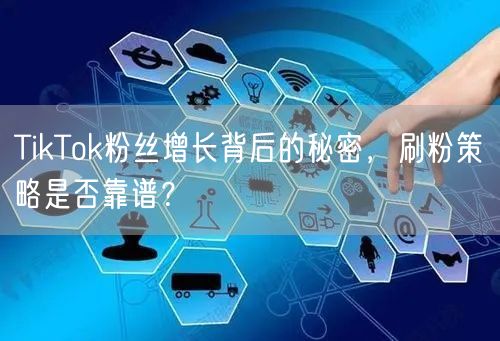 TikTok粉丝增长背后的秘密，刷粉策略是否靠谱？