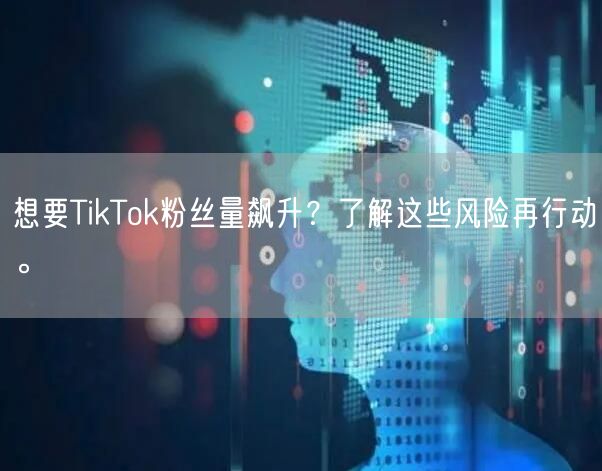 想要TikTok粉丝量飙升？了解这些风险再行动。