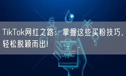 TikTok网红之路：掌握这些买粉技巧，