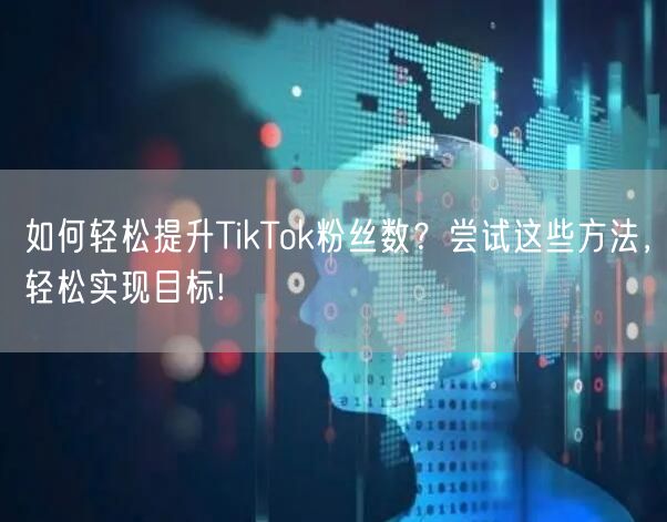 如何轻松提升TikTok粉丝数？尝试这些方法，轻松实现目标!