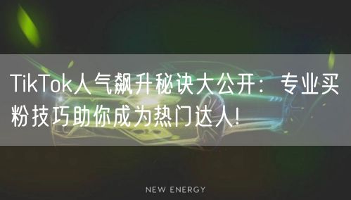TikTok人气飙升秘诀大公开：专业买粉技巧助你成为热门达人!