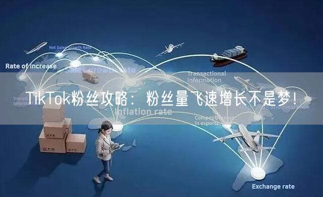 TikTok粉丝攻略：粉丝量飞速增长不是梦！