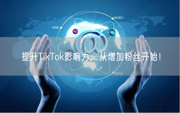 提升TikTok影响力，从增加粉丝开始！