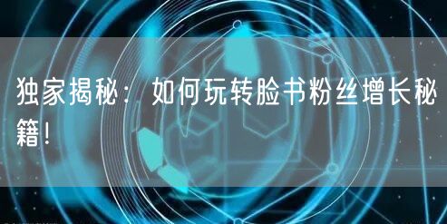 独家揭秘：如何玩转脸书粉丝增长秘籍！