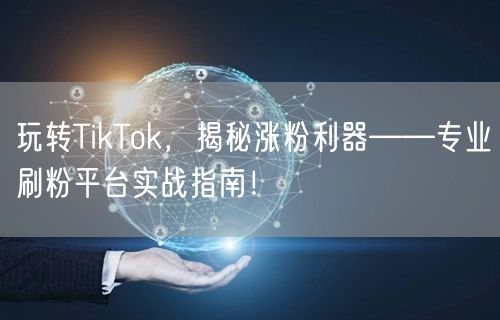 玩转TikTok，揭秘涨粉利器——专业刷粉平台实战指南！