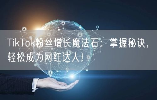 TikTok粉丝增长魔法石：掌握秘诀，轻松成为网红达人！