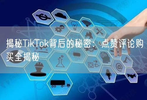 揭秘TikTok背后的秘密：点赞评论购买全揭秘