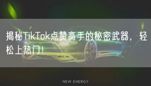 揭秘TikTok点赞高手的秘密武器，轻松上热门！