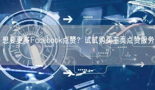 想要更多Facebook点赞？试试购买主页点赞服务！