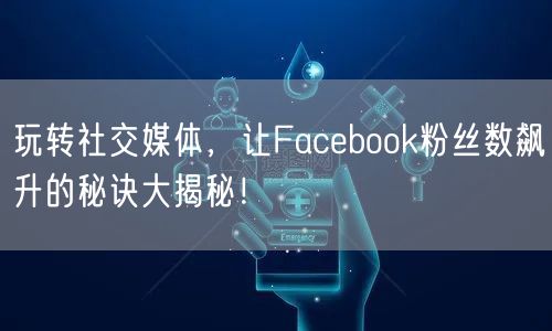 玩转社交媒体，让Facebook粉丝数飙升的秘诀大揭秘！