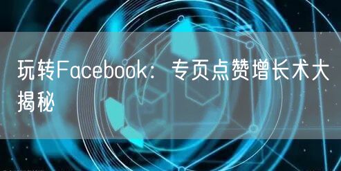 玩转Facebook：专页点赞增长术大揭秘
