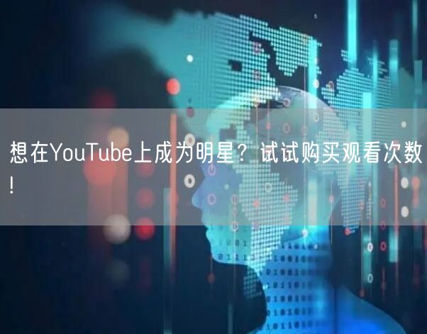 想在YouTube上成为明星？试试购买观看次数!