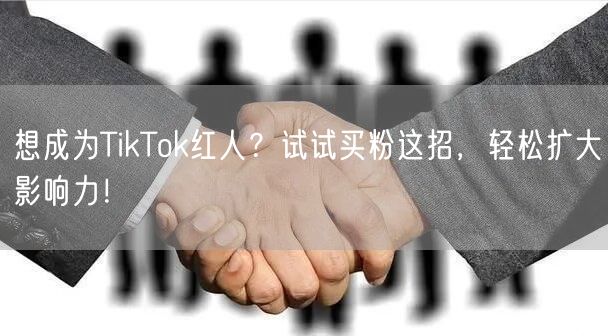 想成为TikTok红人？试试买粉这招，轻松扩大影响力！