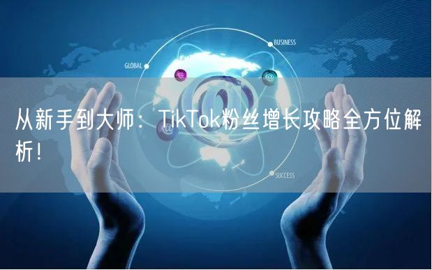 从新手到大师：TikTok粉丝增长攻略全方位解析！