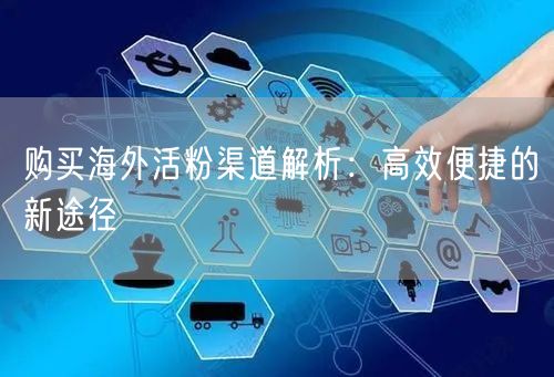 购买海外活粉渠道解析：高效便捷的新途径