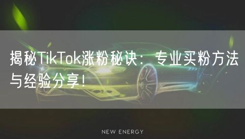 揭秘TikTok涨粉秘诀：专业买粉方法与