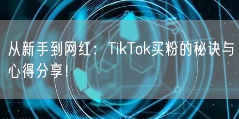 从新手到网红：TikTok买粉的秘诀与心得分享！