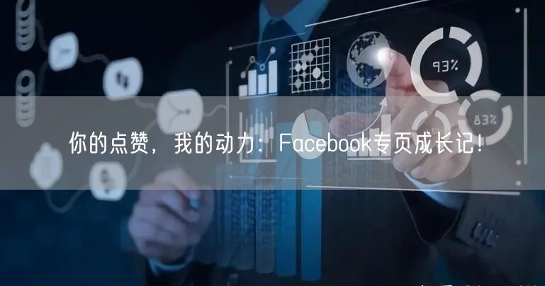 你的点赞，我的动力：Facebook专页成长记！