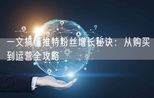 一文搞懂推特粉丝增长秘诀：从购买到运营全攻略