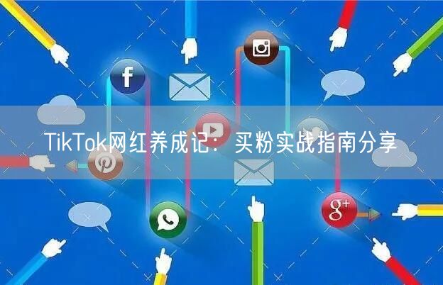 TikTok网红养成记：买粉实战指南分享
