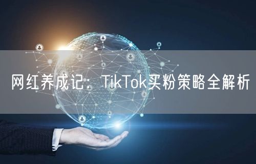网红养成记：TikTok买粉策略全解析