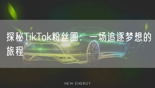探秘TikTok粉丝圈：一场追逐梦想的旅程