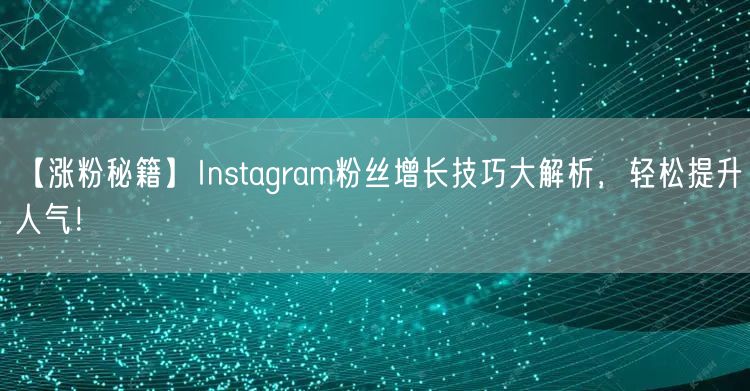 【涨粉秘籍】Instagram粉丝增长技巧大解析，轻松提升人气！