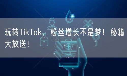 玩转TikTok，粉丝增长不是梦！秘籍大放送！
