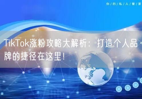 TikTok涨粉攻略大解析：打造个人品牌的捷径在这里！