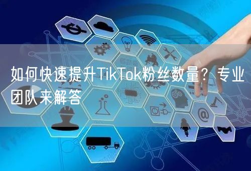 如何快速提升TikTok粉丝数量？专业团队来解答