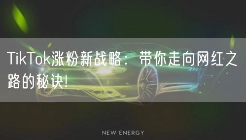 TikTok涨粉新战略：带你走向网红之路的秘诀!