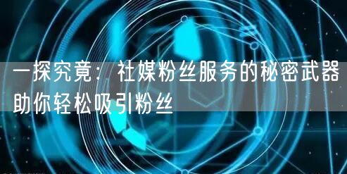 一探究竟：社媒粉丝服务的秘密武器助你轻松吸引粉丝