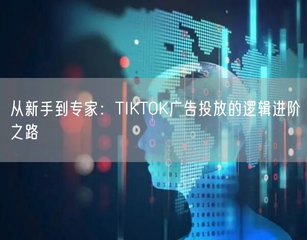从新手到专家:TIKTOK广告投放的逻辑进阶之路