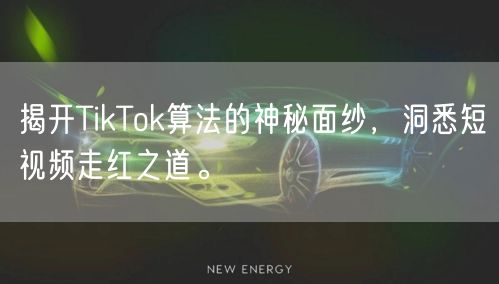 揭开TikTok算法的神秘面纱，洞悉短视频走红之道。