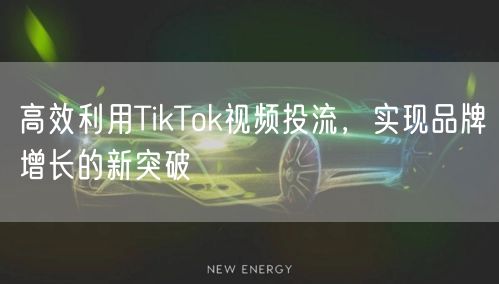 高效利用TikTok视频投流，实现品牌增长的新突破