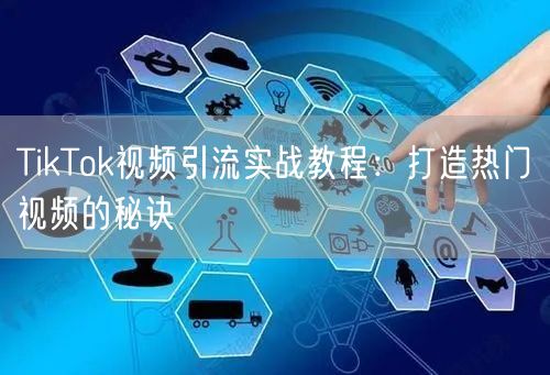 TikTok视频引流实战教程：打造热门视频的秘诀