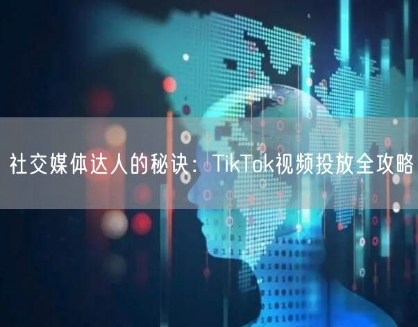 社交媒体达人的秘诀：TikTok视频投放全攻略